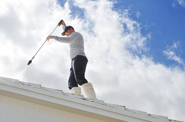 How Important is Roof Cleaning Near Me in Pompano Beach